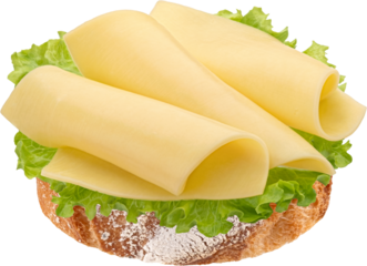 Gouda slices on bread, cheese sandwich with salad leaves isolated on white background, full depth of field