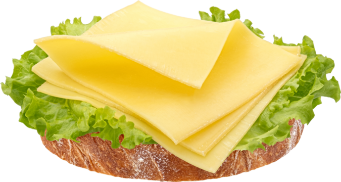 Cheese sandwich, gouda slices on piece of bread with lettuce leaves, full depth of field, top view