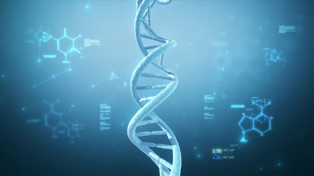 
DNA Double Helix Animation with Guanine, Adenine, Thymine and Cytosine Formulas. Several Texts, Charts and Connections. Cyan.