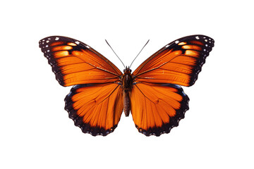 Fototapeta premium Graceful Flutter: Butterfly on Transparent Background. Generative AI