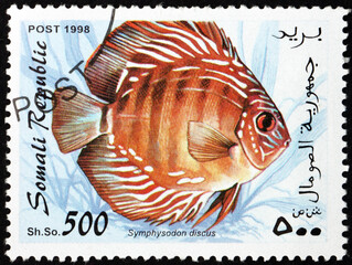 Postage stamp Somalia 1998 red discus, symphysodon discus, is a species of cichlid native to the Amazon Basin