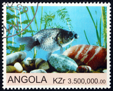 Postage stamp Angola 2000 goldfish