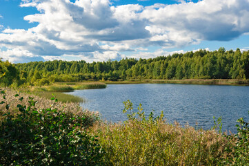 Beautiful landscape with forest lake in summer.