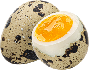 Quail eggs isolated