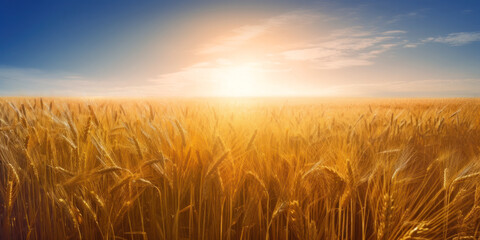 Fototapeta na wymiar Sunlit golden wheat field stretching to the horizon, vibrant blue sky with rising sun. Generative AI realistic illustration
