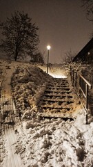 Zima w parku.  © WalDec