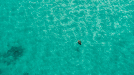 Aerial view of a beautiful ocean patterns with turtle 