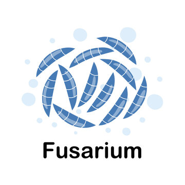 Fusarium. Microorganisms. Medicine and health. Cartoon. Microbiota. Microbiome. Vector stock illustration. Isolated.Bacteria in the body. Bifidobacteria.