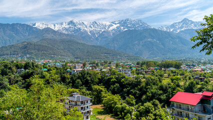 Aerial view of Dharamshala of Himachal Pradesh surrounded by cedar forests and Dhauladhar mountain range - obrazy, fototapety, plakaty
