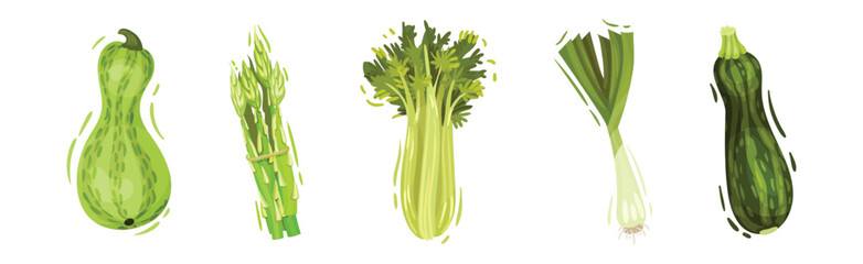 Green Vegetables and Organic Eco Food Vector Set