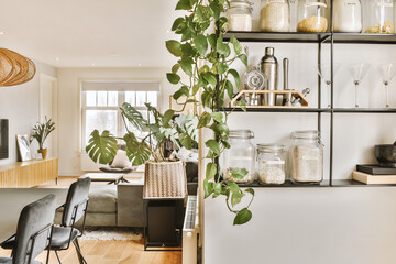 a living room with plants in vases on the wall and shelves above the kitchen area, there is a...