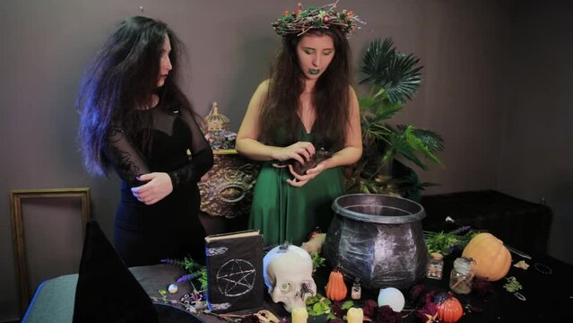 Two witches pose with rats in their hands, standing next to a table with a cauldron and alchemical ingredients, in a dark room.