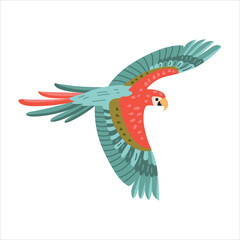 Colorful icon of a flying parrot. Vector on white background