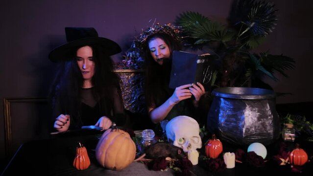 Two witches pose sitting at a table with a cauldron, skull, pumpkins and alchemical ingredients in a dark room.