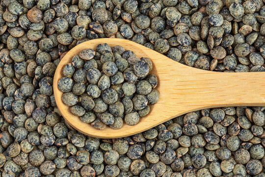 raw french green lentils in wooden spoon as a background. Top view. Flat lay
