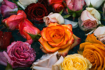 Floating flowers in water fountain.