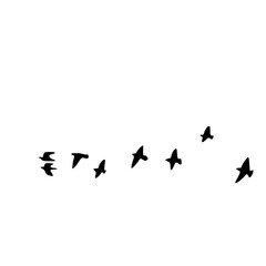 Obraz na płótnie Canvas Flying Bird Silhouette Vector
