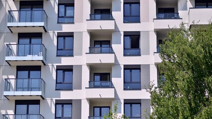 Eco architecture. Green tree and new apartment building. The harmony of nature and modernity. Modern residential building with new apartments in a green residential area. 