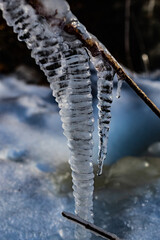 Ice Formed from a Tree Branch