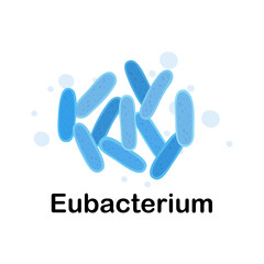 Microorganisms. Medicine and health. Cartoon. Microbiota. Microbiome. Vector stock illustration. Eubacterium. Isolated.Bacteria in the body.