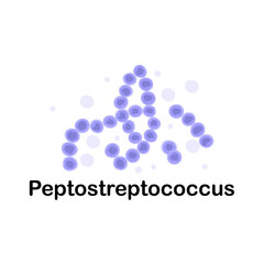 Peptostreptococcus. Microorganisms. Medicine and health. Cartoon. Microbiota. Microbiome. Vector stock illustration. Isolated.Bacteria in the body.