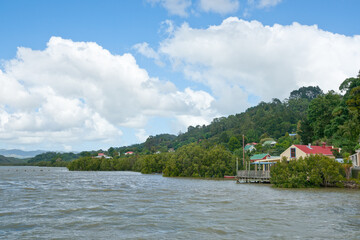 Mangrove edged Hokianga Harbour and bush clad background at  Kohukohu