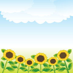 Fototapeta na wymiar vector Illustration Rural landscape with sunflowers and clouds in the sky