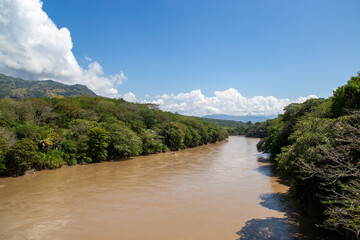 river of cloudy water in latin america next to many trees and the blue sky