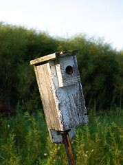 white and grey weathered birdhouse in nature by green grass and bushes during sunset