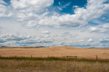 Wide open plains with puffy white clouds and blue sky