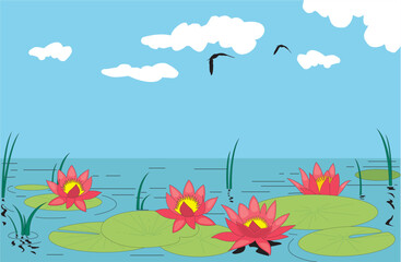 Fototapeta na wymiar Beautiful water lilly. Vector illustration