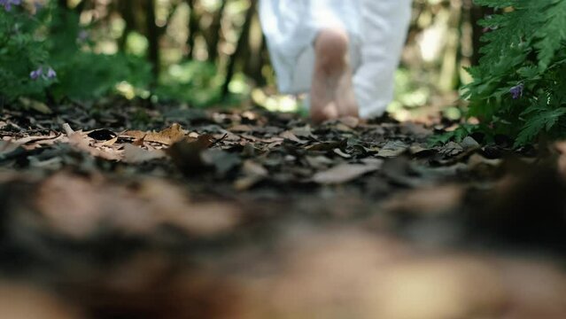 Ground view of woman walking barefoot in the forest with brown leaves and green trees in background. Selective focus and nude feet walk alone. Environment and zenlike lifestyle nature connection