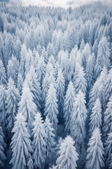 An aerial shot of many trees covered in snow. AI generative