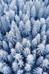 An aerial shot of many trees covered in snow. AI generative