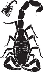 Vector illustration of a scorpion with basic outline included