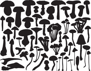 Collection of vector mushroom and toadstool outlines