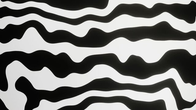 Abstract black and white wavy background. Animation of curvy lines pattern moving from up to down.