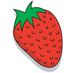 Hand drawn illustration of a strawberry