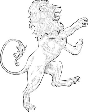 A vector illustration of a rampant (standing on hind legs) lion