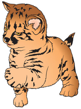 Leopard 3 - coloured cartoon illustration as vector - Leopard Puppy