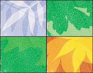 Editable vector background design of leaves in different seasons