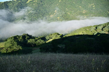 fog in the mountains