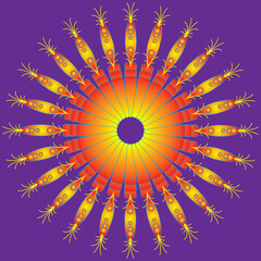 Circular wheel made from colorful feathers of peacock