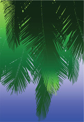 Fototapeta na wymiar Vector design of hanging coconut palm fronds