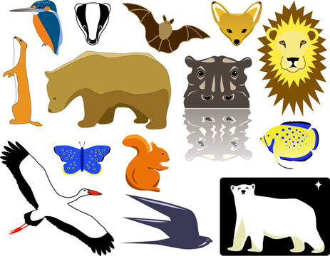 Selection of vector animal designs and pictograms