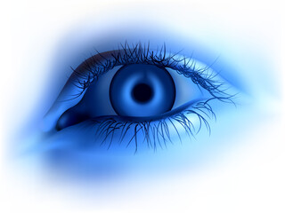 Blue human eye - Highly detailed vector illustration