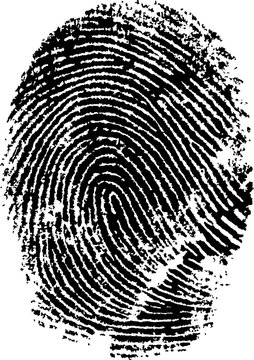 Very detailed vector fingerprint