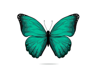 watercolor hand drawing painting brush butterfly design