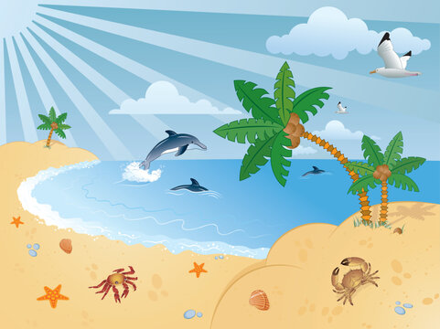 Detailed summer background with palm tree, coconut, dolphin, sea-gull, crab, starfish..., vector illustration