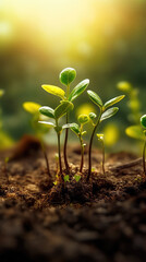 Seedlings growing in the soil under the rays of the sun. A new life is being born. Generative AI